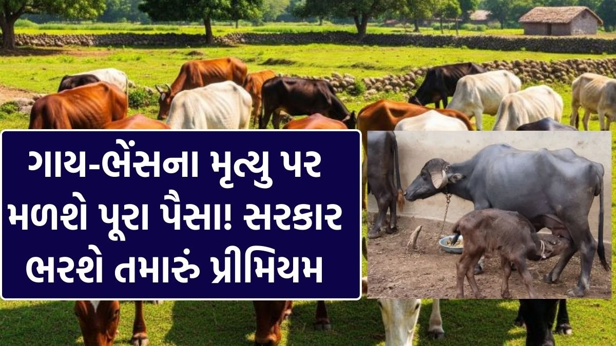 Pashu Vima Yojana 2026